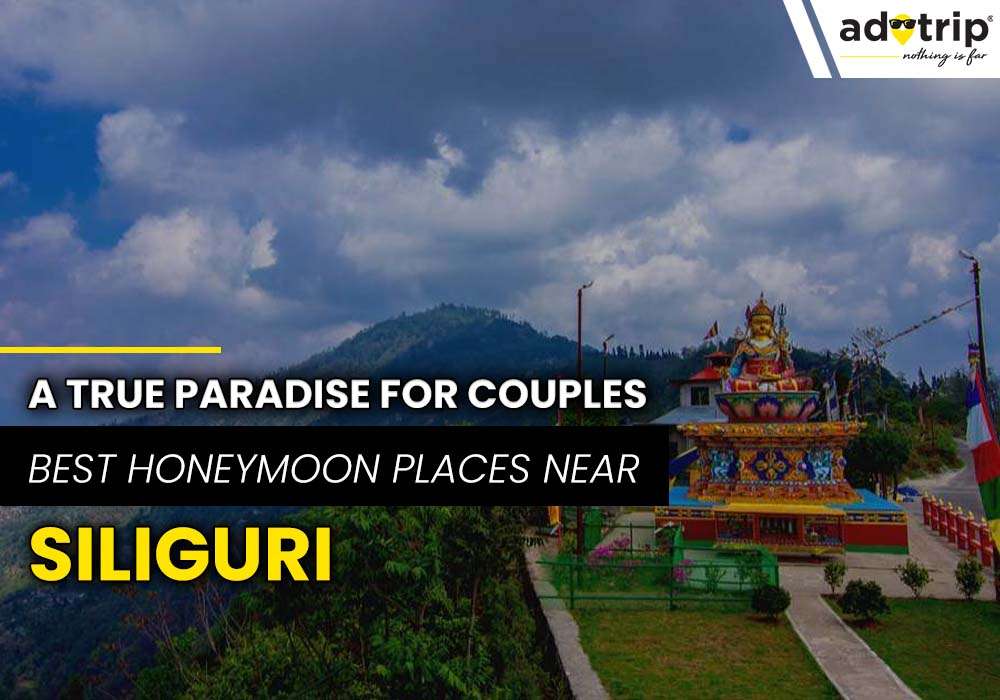 Honeymoon places to visit near Siliguri